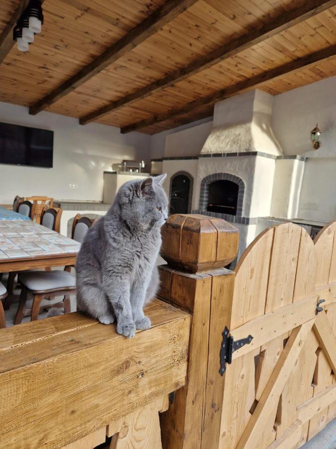 Casa De Langa Padure Hotel Sighetu Marmaţiei Екстериор снимка